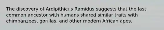 The discovery of Ardipithicus Ramidus suggests that the last common ancestor with humans shared similar traits with chimpanzees, gorillas, and other modern African apes.