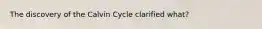 The discovery of the Calvin Cycle clarified what?