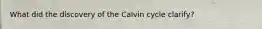 What did the discovery of the Calvin cycle clarify?