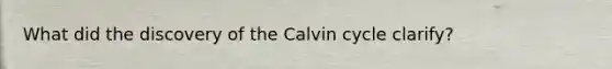 What did the discovery of the Calvin cycle clarify?