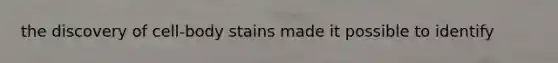 the discovery of cell-body stains made it possible to identify