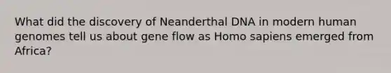 What did the discovery of Neanderthal DNA in modern human genomes tell us about gene flow as Homo sapiens emerged from Africa?