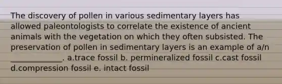 The discovery of pollen in various sedimentary layers has allowed paleontologists to correlate the existence of ancient animals with the vegetation on which they often subsisted. The preservation of pollen in sedimentary layers is an example of a/n _____________. a.trace fossil b. permineralized fossil c.cast fossil d.compression fossil e. intact fossil