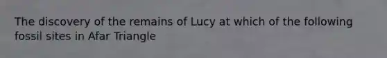 The discovery of the remains of Lucy at which of the following fossil sites in Afar Triangle