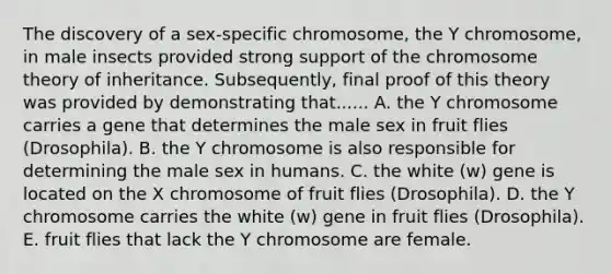 The discovery of a sex-specific chromosome, the Y chromosome, in male insects provided strong support of the chromosome theory of inheritance. Subsequently, final proof of this theory was provided by demonstrating that...... A. the Y chromosome carries a gene that determines the male sex in fruit flies (Drosophila). B. the Y chromosome is also responsible for determining the male sex in humans. C. the white (w) gene is located on the X chromosome of fruit flies (Drosophila). D. the Y chromosome carries the white (w) gene in fruit flies (Drosophila). E. fruit flies that lack the Y chromosome are female.