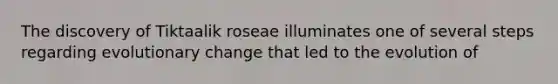 The discovery of Tiktaalik roseae illuminates one of several steps regarding evolutionary change that led to the evolution of