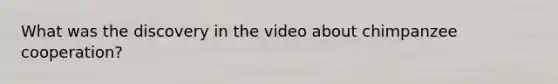 What was the discovery in the video about chimpanzee cooperation?