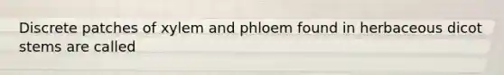 Discrete patches of xylem and phloem found in herbaceous dicot stems are called