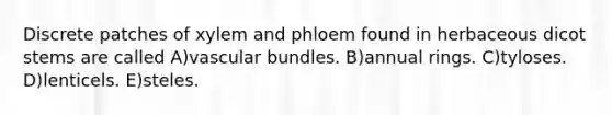 Discrete patches of xylem and phloem found in herbaceous dicot stems are called A)vascular bundles. B)annual rings. C)tyloses. D)lenticels. E)steles.