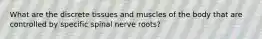 What are the discrete tissues and muscles of the body that are controlled by specific spinal nerve​ roots?