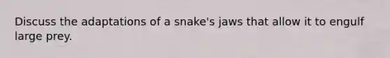 Discuss the adaptations of a snake's jaws that allow it to engulf large prey.