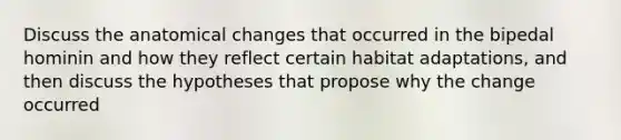 Discuss the anatomical changes that occurred in the bipedal hominin and how they reflect certain habitat adaptations, and then discuss the hypotheses that propose why the change occurred