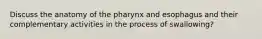 Discuss the anatomy of the pharynx and esophagus and their complementary activities in the process of swallowing?