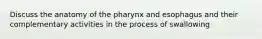 Discuss the anatomy of the pharynx and esophagus and their complementary activities in the process of swallowing