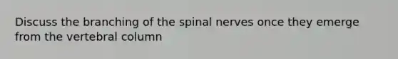 Discuss the branching of the <a href='https://www.questionai.com/knowledge/kyBL1dWgAx-spinal-nerves' class='anchor-knowledge'>spinal nerves</a> once they emerge from the <a href='https://www.questionai.com/knowledge/ki4fsP39zf-vertebral-column' class='anchor-knowledge'>vertebral column</a>