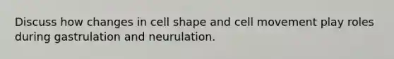 Discuss how changes in cell shape and cell movement play roles during gastrulation and neurulation.