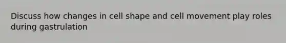 Discuss how changes in cell shape and cell movement play roles during gastrulation