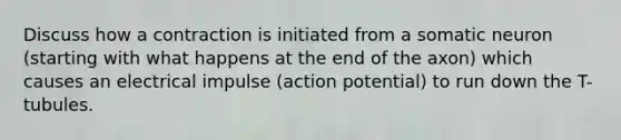 Discuss how a contraction is initiated from a somatic neuron (starting with what happens at the end of the axon) which causes an electrical impulse (action potential) to run down the T-tubules.