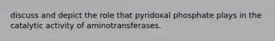 discuss and depict the role that pyridoxal phosphate plays in the catalytic activity of aminotransferases.