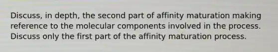 Discuss, in depth, the second part of affinity maturation making reference to the molecular components involved in the process. Discuss only the first part of the affinity maturation process.