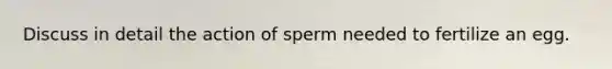 Discuss in detail the action of sperm needed to fertilize an egg.