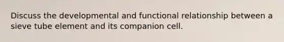 Discuss the developmental and functional relationship between a sieve tube element and its companion cell.