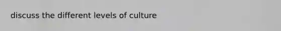 discuss the different levels of culture