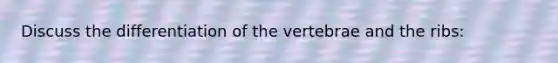 Discuss the differentiation of the vertebrae and the ribs: