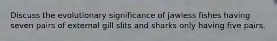 Discuss the evolutionary significance of jawless fishes having seven pairs of external gill slits and sharks only having five pairs.