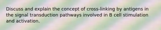 Discuss and explain the concept of cross-linking by antigens in the signal transduction pathways involved in B cell stimulation and activation.