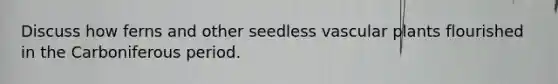 Discuss how ferns and other seedless vascular plants flourished in the Carboniferous period.