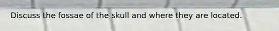 Discuss the fossae of the skull and where they are located.