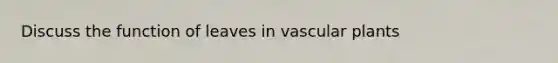 Discuss the function of leaves in vascular plants