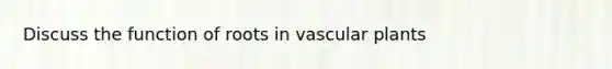 Discuss the function of roots in vascular plants