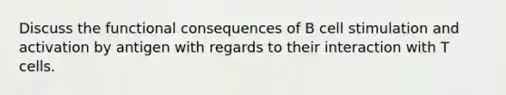 Discuss the functional consequences of B cell stimulation and activation by antigen with regards to their interaction with T cells.