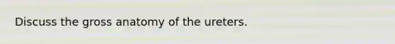 Discuss the gross anatomy of the ureters.