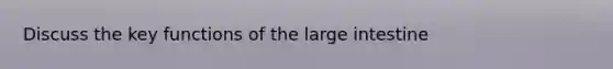 Discuss the key functions of the <a href='https://www.questionai.com/knowledge/kGQjby07OK-large-intestine' class='anchor-knowledge'>large intestine</a>