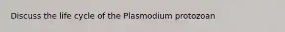 Discuss the life cycle of the Plasmodium protozoan