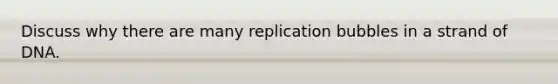 Discuss why there are many replication bubbles in a strand of DNA.