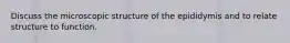 Discuss the microscopic structure of the epididymis and to relate structure to function.
