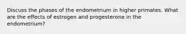 Discuss the phases of the endometrium in higher primates. What are the effects of estrogen and progesterone in the endometrium?