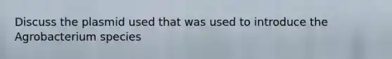 Discuss the plasmid used that was used to introduce the Agrobacterium species