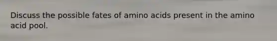 Discuss the possible fates of amino acids present in the amino acid pool.