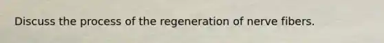 Discuss the process of the regeneration of nerve fibers.