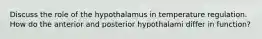 Discuss the role of the hypothalamus in temperature regulation. How do the anterior and posterior hypothalami differ in function?