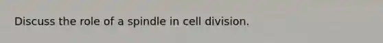 Discuss the role of a spindle in cell division.