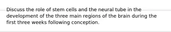 Discuss the role of stem cells and the neural tube in the development of the three main regions of the brain during the first three weeks following conception.