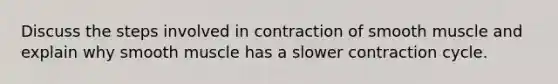 Discuss the steps involved in contraction of smooth muscle and explain why smooth muscle has a slower contraction cycle.