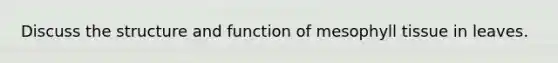Discuss the structure and function of mesophyll tissue in leaves.