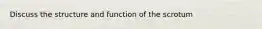 Discuss the structure and function of the scrotum